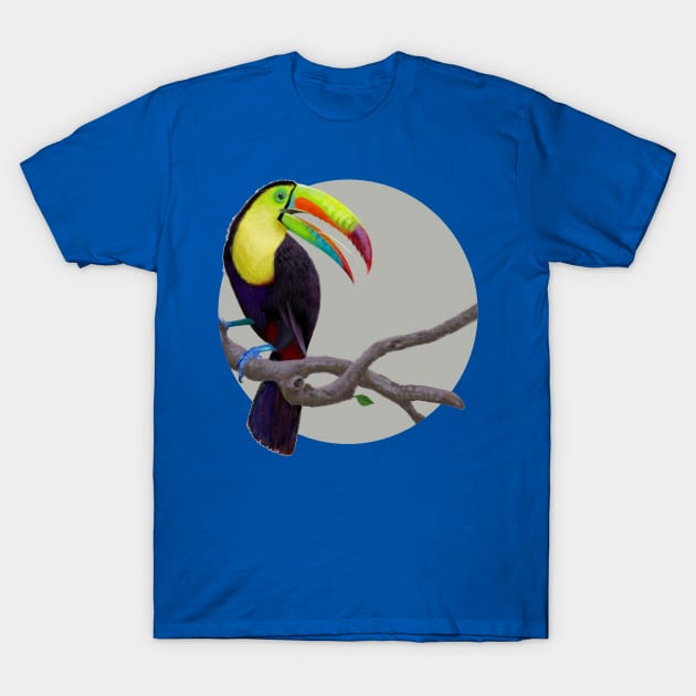 Keel-Billed Toucan T-Shirt by Oniomsra